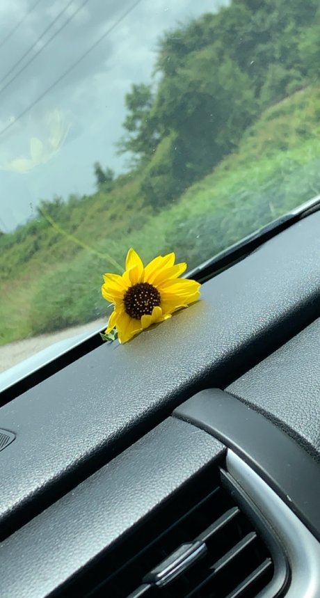 Let s talk_ leaked onlyfans free