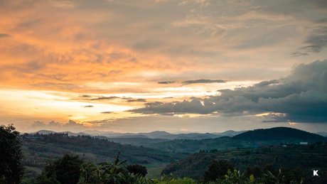 Thickest Traveler new onlyfans