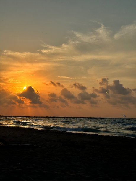 Sexy girl packs_ onlyfans pics