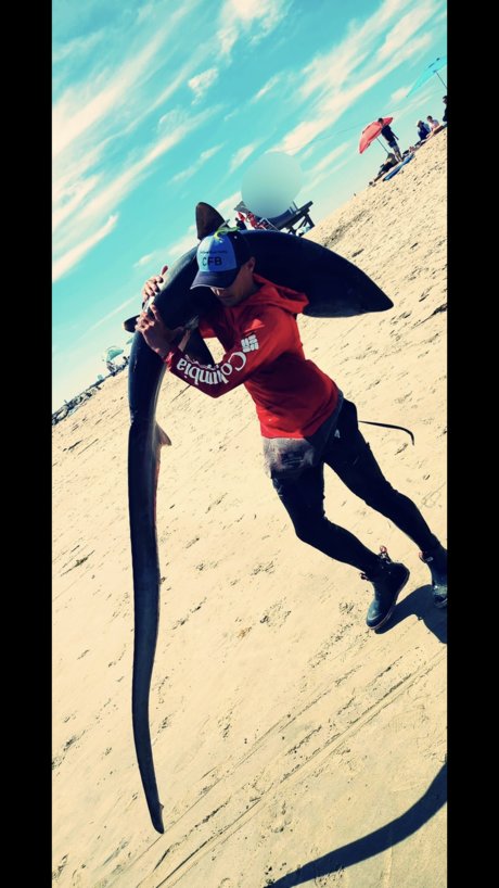 The Shark Sniper onlyfans leak ass