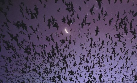 _kitty_ onlyfans leak fuck