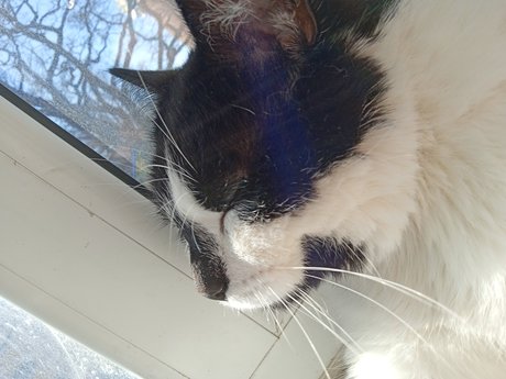 Theo Elina free onlyfans