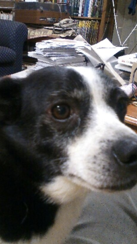 Themiurabull onlyfans hot