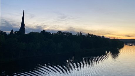 The East Coast Pup nude only fans leaks