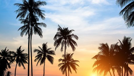 The Mandingo Club XXX VIP PREMIUM_ onlyfans porn leak