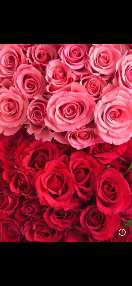 YKandyYaang_ onlyfans porno