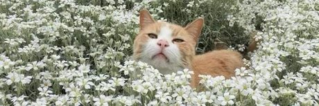 Xochitl_ onlyfans free porn