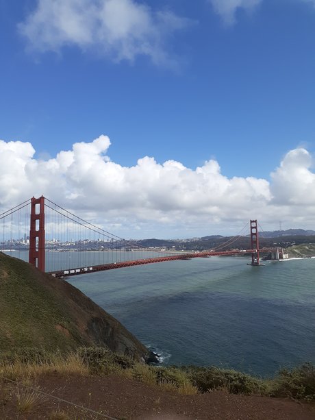 Joey Bowie onlyfans for free