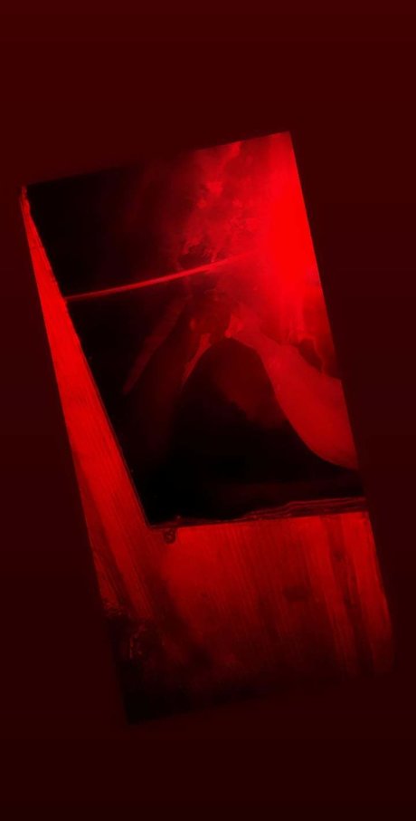 Fany Hernandez only fans leaks