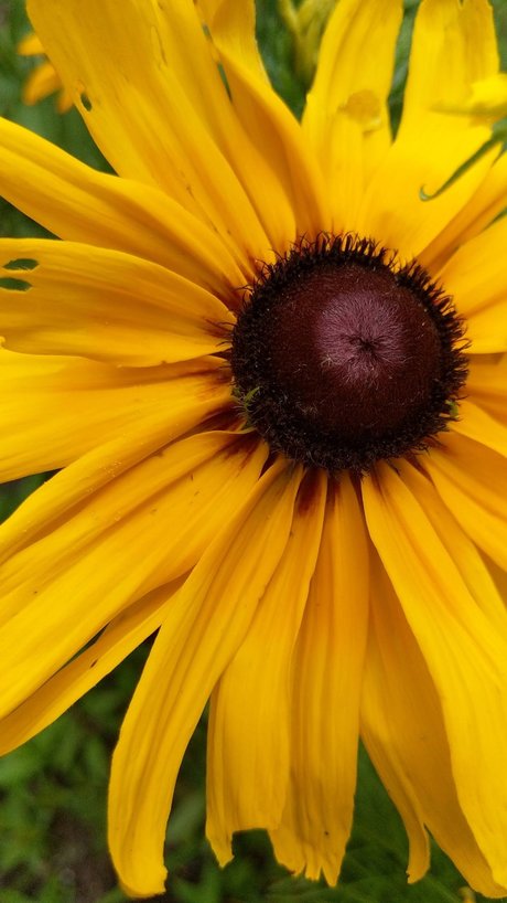 T free_ tits onlyfans