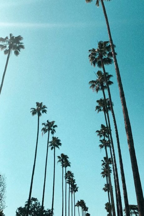 Tavion Smith onlyfans porn leaks