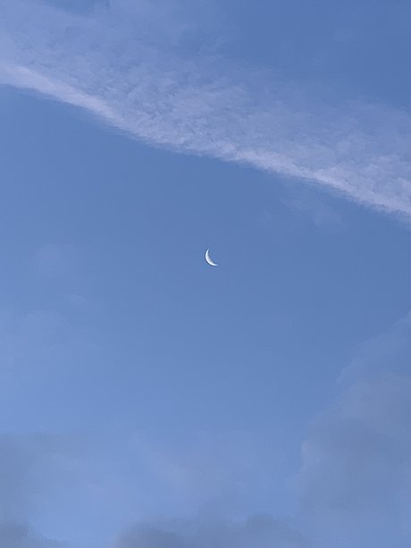 Althea_ sex onlyfans