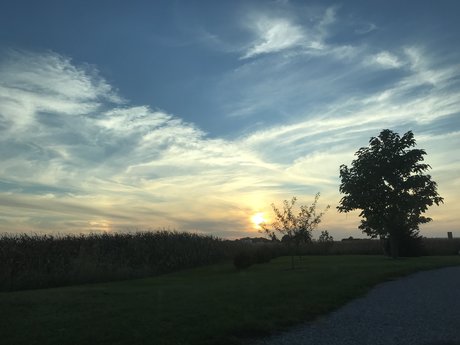 Brown Eyed Beauty_ nude onlyfans leak