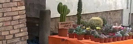 Yuri Crispi hot onlyfans