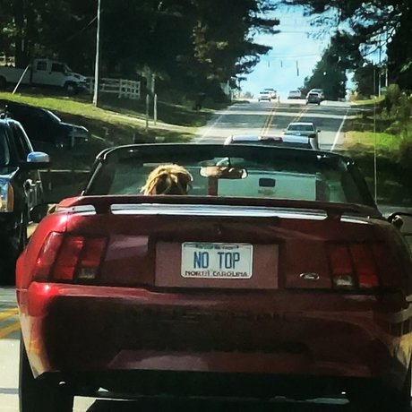 YZ TTG ENT onlyfans leaks