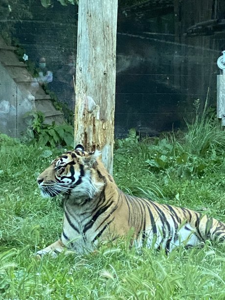 YRLA naked onlyfans leaks