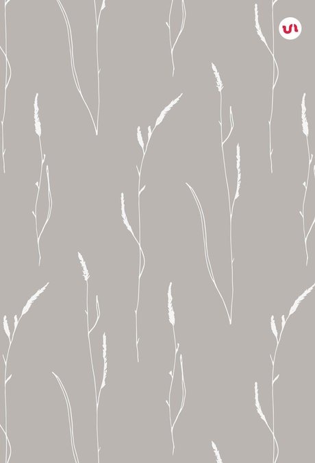 Gracie Lynn No PPV_ strip onlyfans