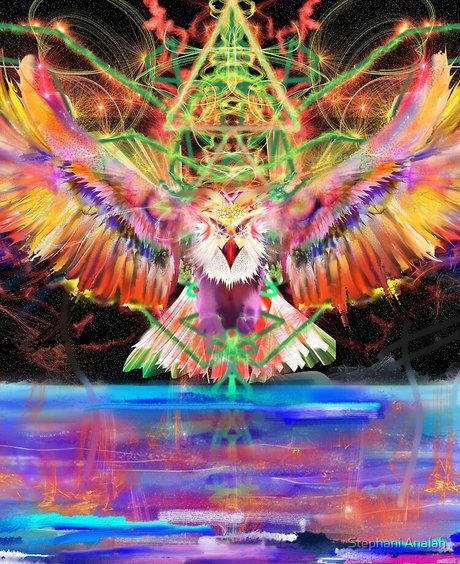 The Trippie Hippie onlyfans boobs