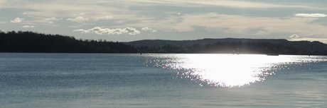 Summerflare_ onlyfans nudes leaks