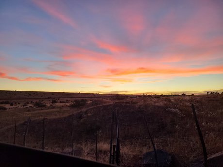 Sugar Cookie onlyfans porn leaks