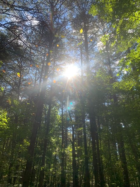 Marc Harrington onlyfans leaks nude