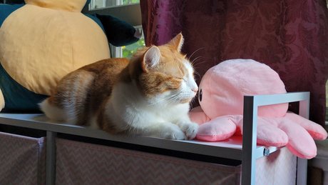 Zeus Lightning_ is on onlyfans