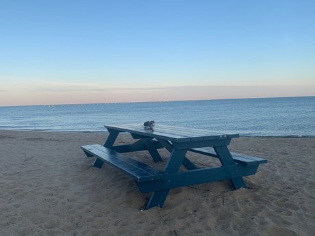 Xavier Nguyen onlyfans leaka