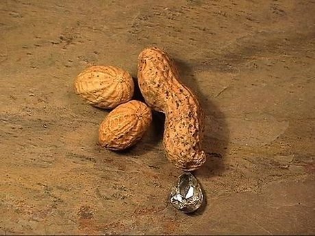 Ashtyn s Playground_ only fans leaked