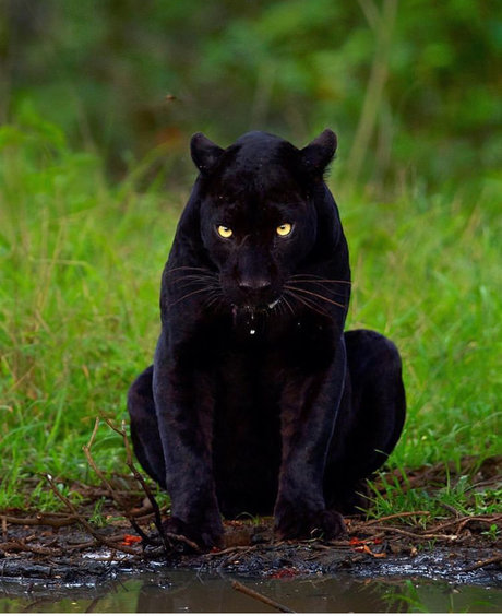 Zeek onlyfans leaks xxx