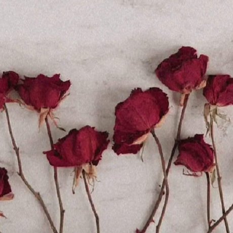 perfektermond free onlyfans