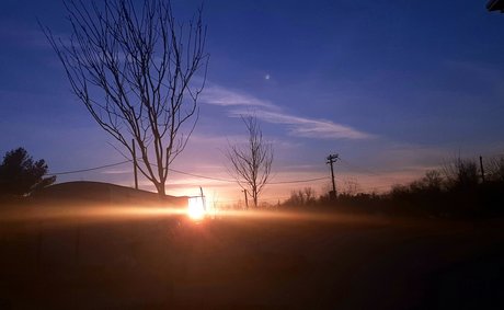 Frank n Weenie new onlyfans leaks