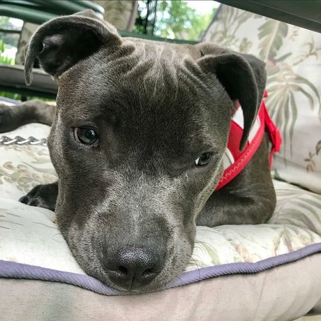 Frank n Weenie nudes onlyfans leaked