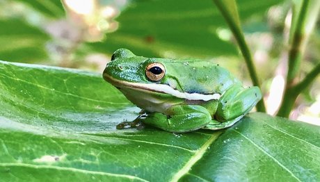 naveltrailblazer3 only fans free