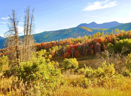 naveltrailblazer3 onlyfans pictures