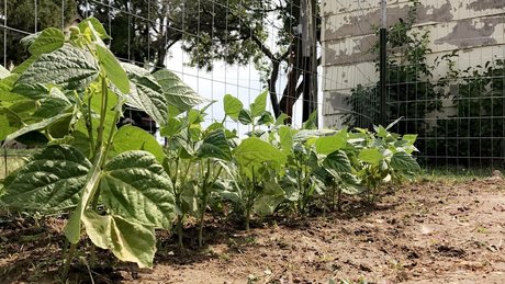 Kora Ellen desnuda onlyfans