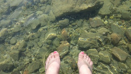 Fancy Free onlyfans nude content