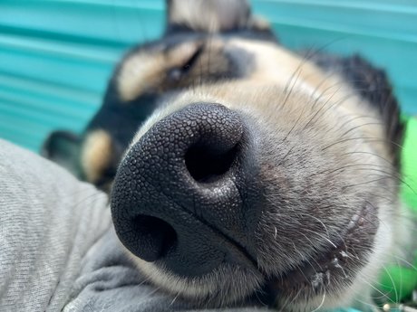 Sydney Schaub xxx onlyfans