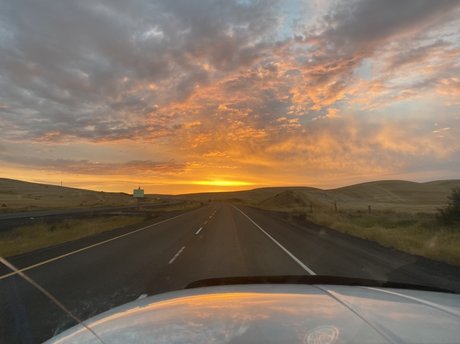 Papabear on onlyfans