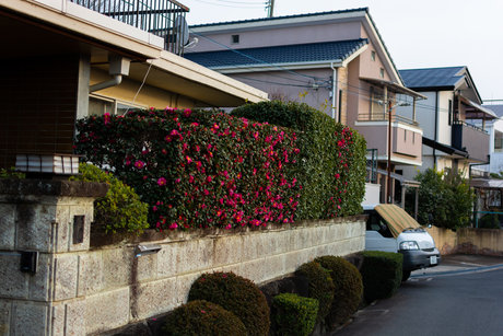 sleepmark onlyfans fuck