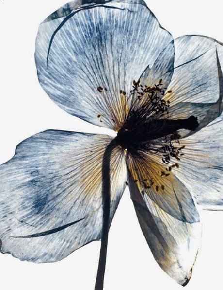 friday grl_ only fans leaks porn