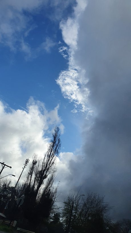 Tu Santita 25 only fans