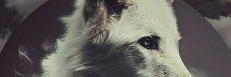 Happy Mod nude onlyfans