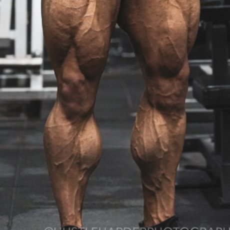 King Calves_ xxx onlyfans