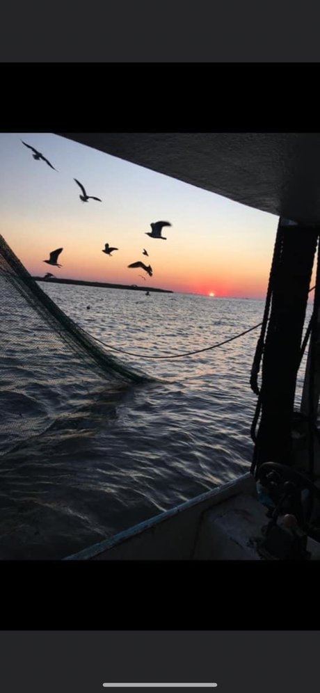 Kitty cat onlyfans leaked pics