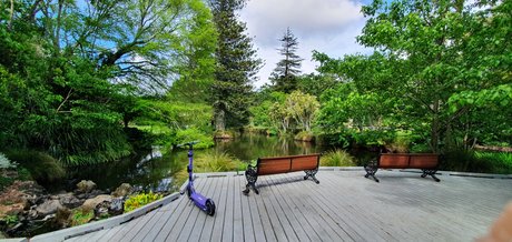 parasiteonwheels naked only fans