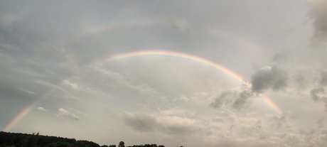 Muskox NSFW 18_ nude onlyfans