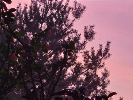 Najwi kszy Fan ass onlyfans