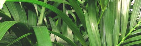 Eduardo Bailon free onlyfans porn