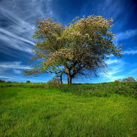 Lucifer amp amp Eve leaked onlyfans sex