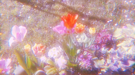 Tiffany Riker ass onlyfans